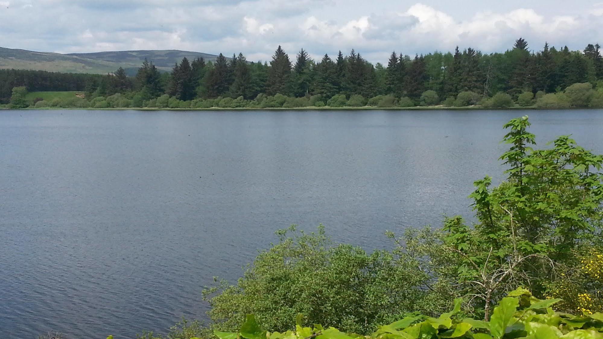 Lodge At Lochside Bridgend of Lintrathen Экстерьер фото